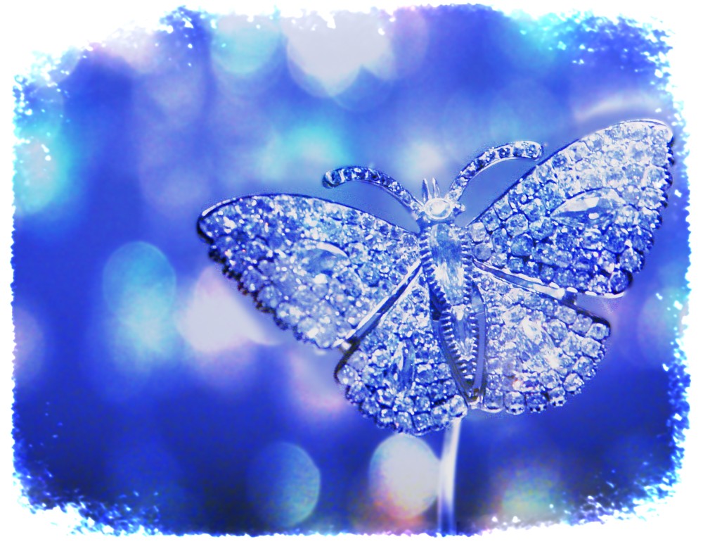 Winter butterfly