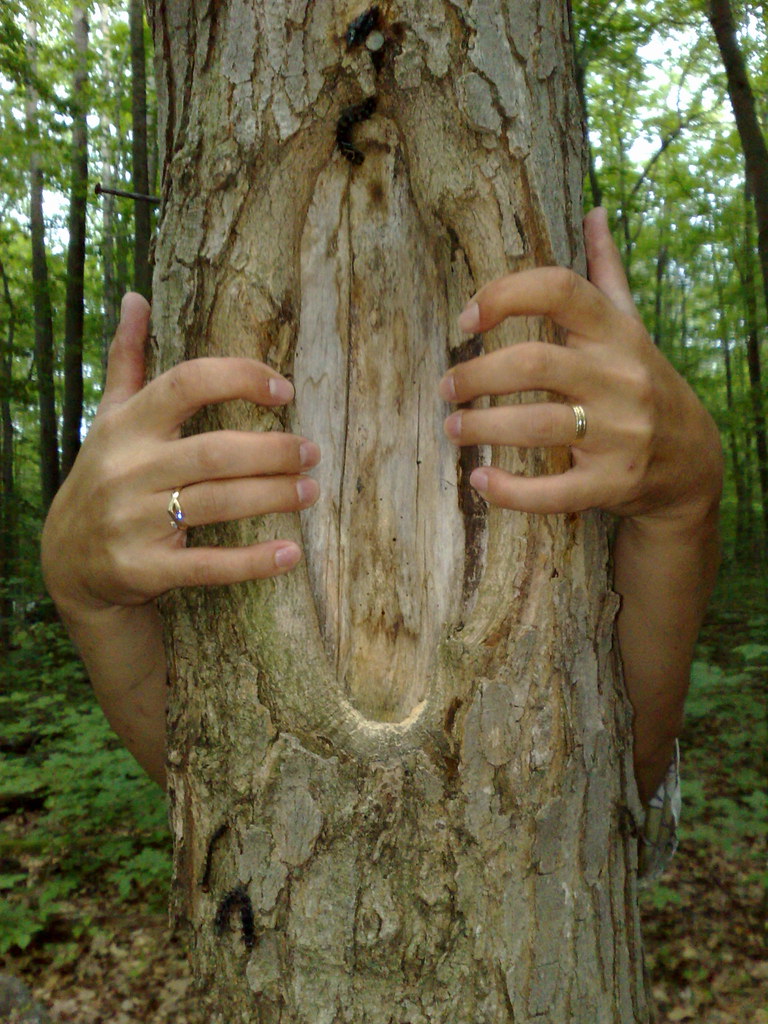 Man Goatsy goatse | tabooki1 | Flickr