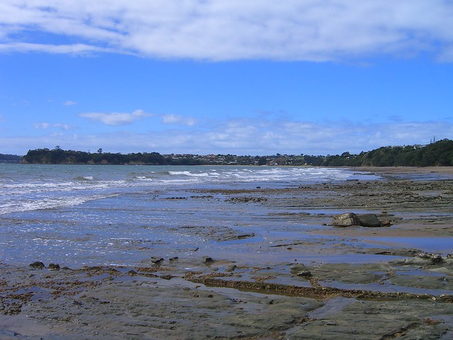 Whangaparaoa Stanmore Bay beach