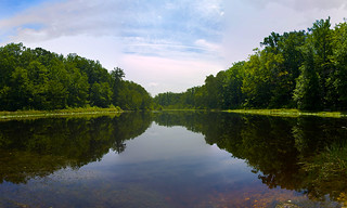 Cedarville State Forest Pond | a picture of the pond at Ceda… | Flickr