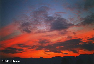 Red Sunset - 2007