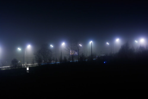 fog by Dmitry Kolchev