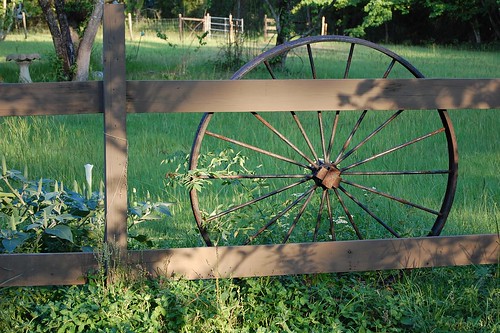 life wheel wagon landscape still d40