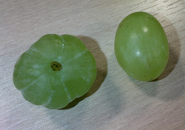 Nicola's mutant grape 1