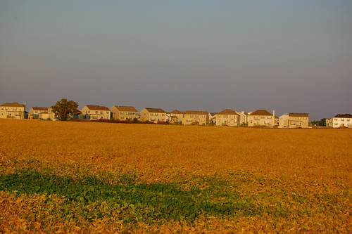 field beige soy sprawl woodstock vinylsiding mchenry subdivision sameness exurb