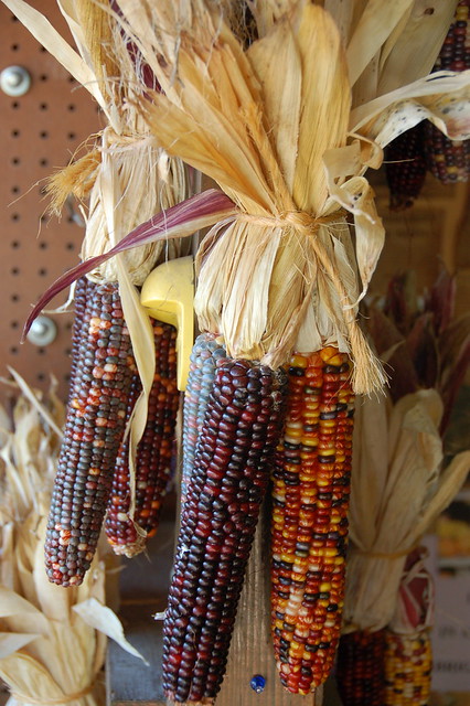 Farm stand Indian corn