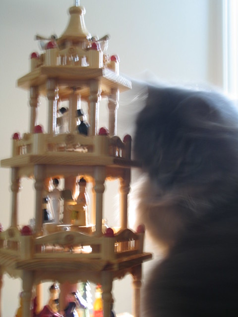 Dewey Objects to the Whirligig