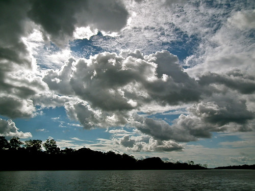 Amazon near Iquitos