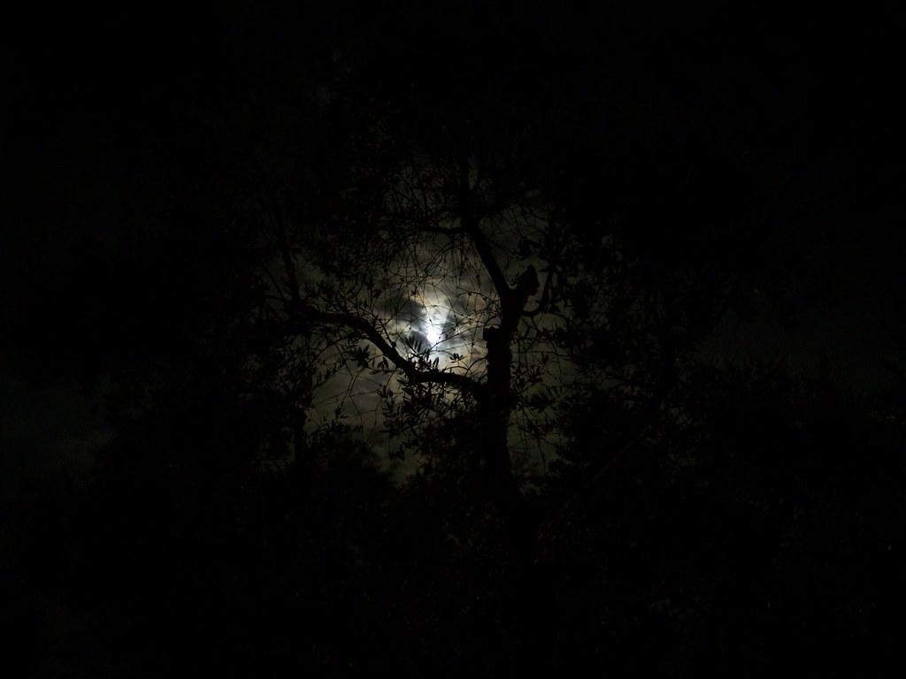 Notturno | kikkio | Flickr