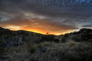 An Arizona Evening
