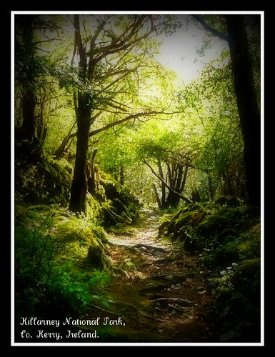 Bourne Scenic Park
