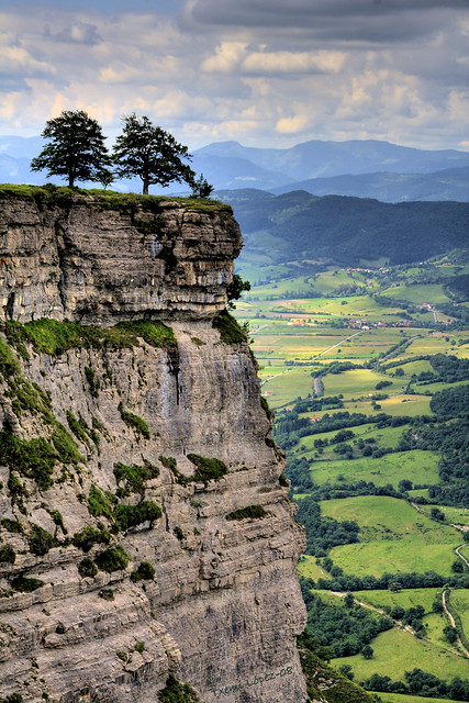 El acantilado / The cliff