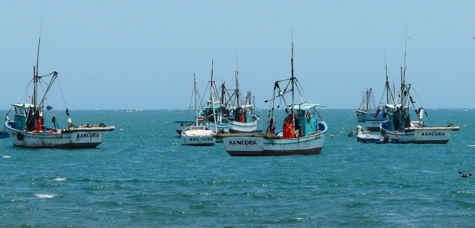 Botes de pesca en Mancora, alobos life