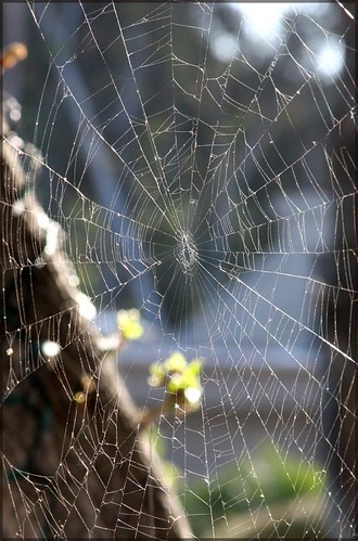 The Way We See the World | by tinyfroglet