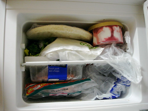 Freezer | Not enough space, apparently | Toms Baugis | Flickr