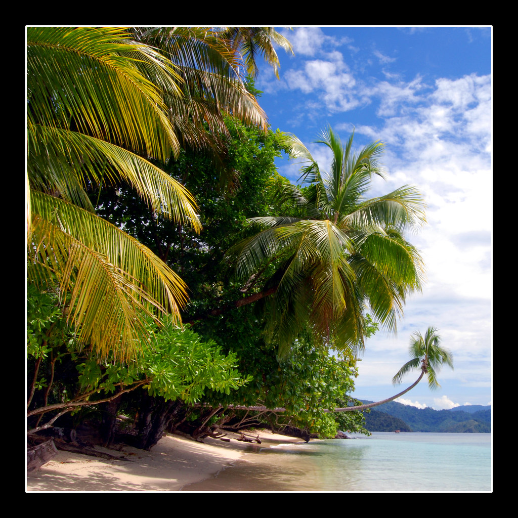 The Papuan Paradise [2] | Harlen Beach, near Depapre, West P… | Flickr