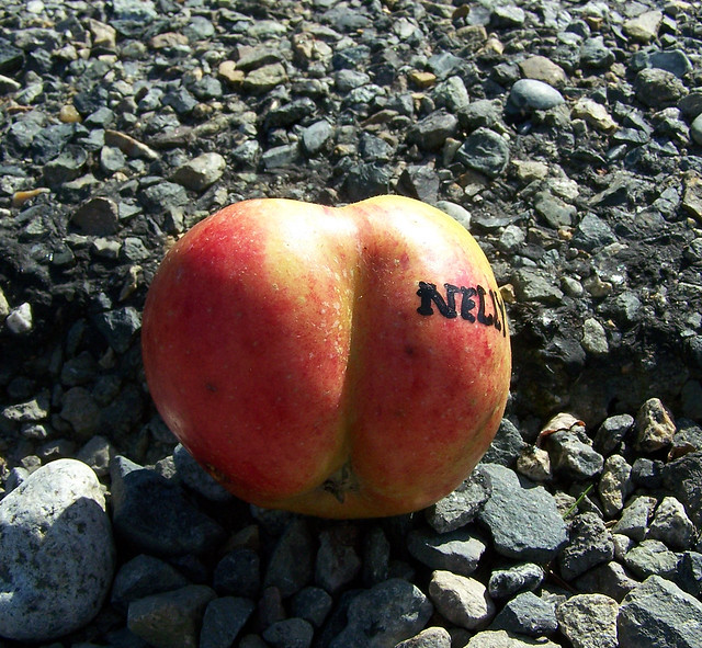 apple bottom ass writing