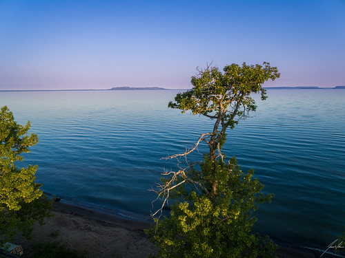 lake ontario tree beach dusk superior shore sleepinggiant shuniah