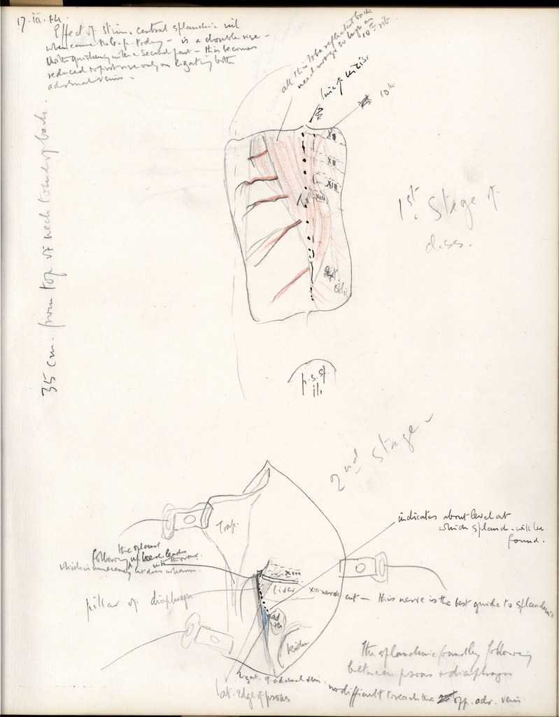 Sherrington's Lab Notebook