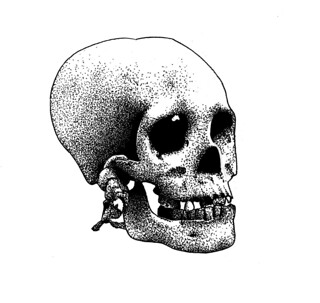 Trophy Skull | by Danny PiG