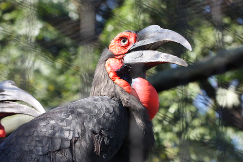 Umgeni River Bird Park