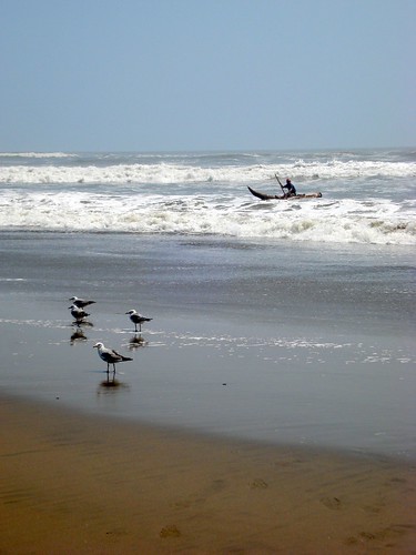sea costa beach peru birds port totora puerto coast mar waves playa aves shore pajaros olas caballito orilla balneario chiclayo lambayeque pimentel