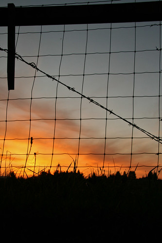 autumn sunset sky cloud color tree oregon fence golden border rainier barbedwire 2008 barbed goldenhour