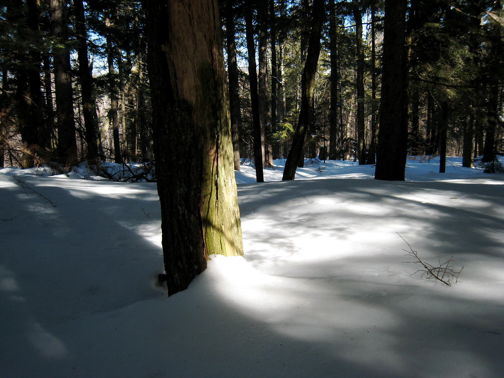 Mount Will Trail