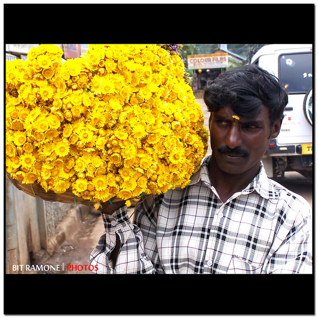 Vendedor de flores - Ooty, India.