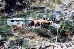 San Luca (RC), 1973, pellegrinaggio al Santuario della Madonna di Polsi: alloggi e punti di ristoro per pellegrini.