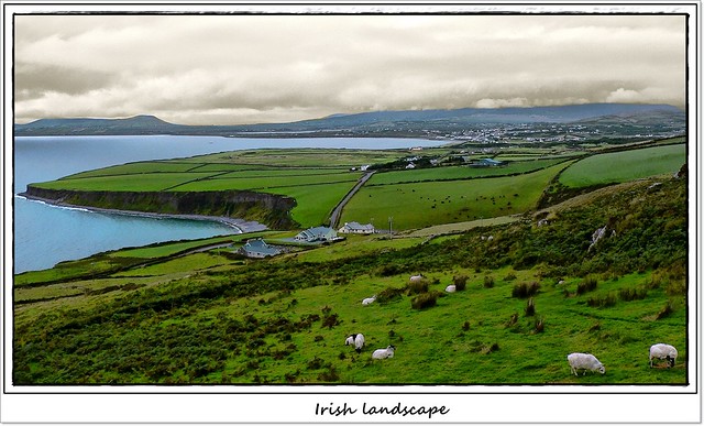 Irish (typical) landscape