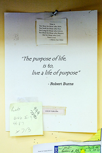 Purpose | by Lou Star
