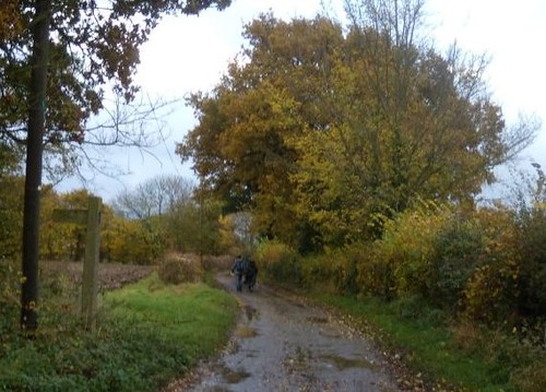 Down a lane Wakes Colne to Bures