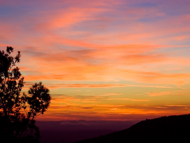 Daybreak On Mt. Carmel
