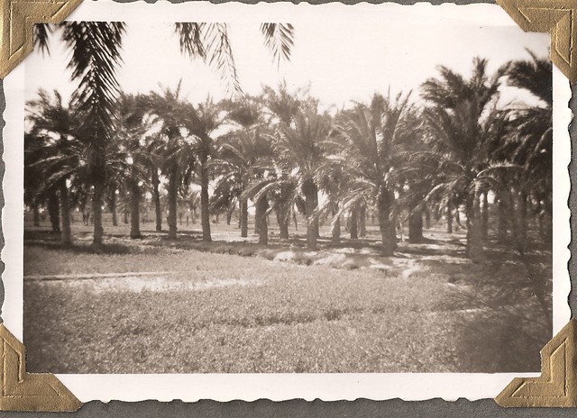 Kuwait, Jahara...Arabian Gulf Region; about 1950    الكويت ، Jahara... منطقة الخليج العربي عن 1950