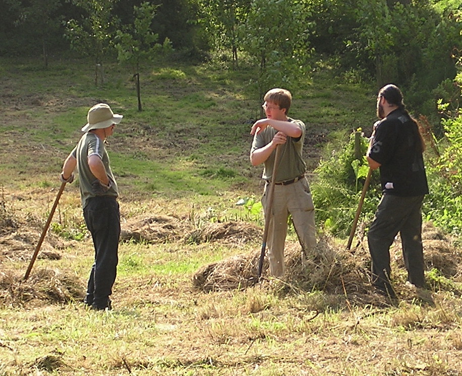 Meadow Raking Raking a wet meadow | The annual cutting and removal of the … | Flickr