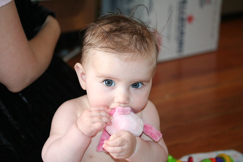 Bath Time Cora | by Craiggerm