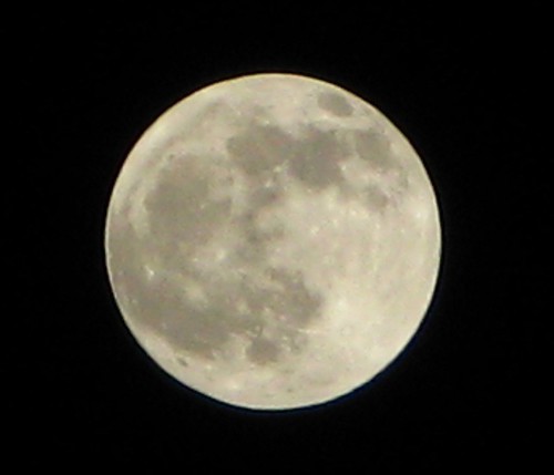 Full Moon on a clear night | by kagesama175