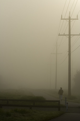 morning mist fog surrey september morningmist morningfog vob kvdl