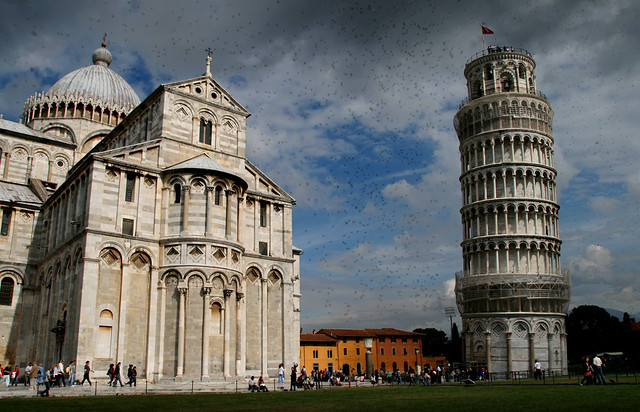 the pigeon attack on pisa