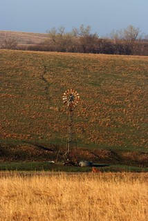 Windmill and Cow Path on the Prairie