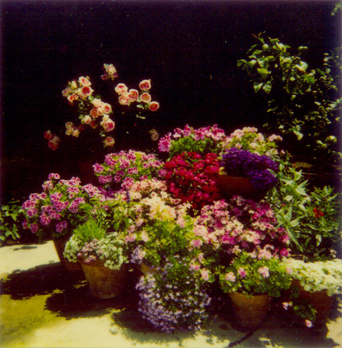 Venice garden archive 1994 - 01