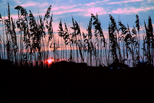 beach sunrise fence reeds northcarolina atlanticbeach fujis5
