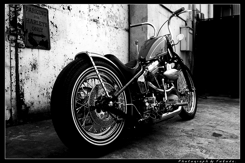 Harley-Davidson by Fukuda.
