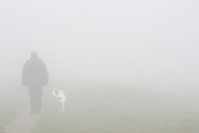 Walking dog on misty Port Meadow - 3