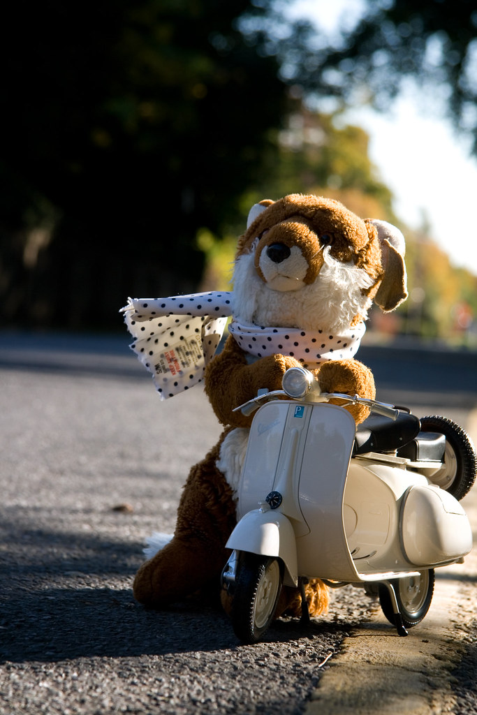 Day 356 - Mr Fox's Motorcycle Diaries by The Fox and the Polar Bear