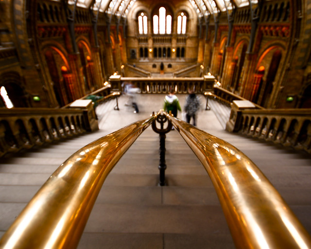 rails, natural history museum, london [_MG_3193]
