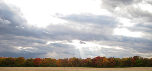 Sunset Over Fall Trees by samfeinstein, You might call this an HHHDR image.  "Hand-held" HDR.  Not really...  It's a composite of 