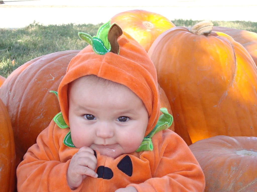 Sweet Emma at the pumpkin patch | chicks57 | Flickr