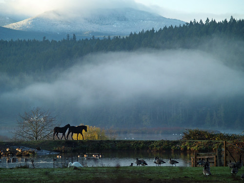 two together | by vancouver island girl